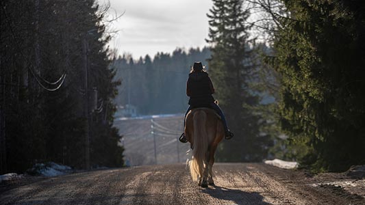 A person riding a horse down a trail in the woods.