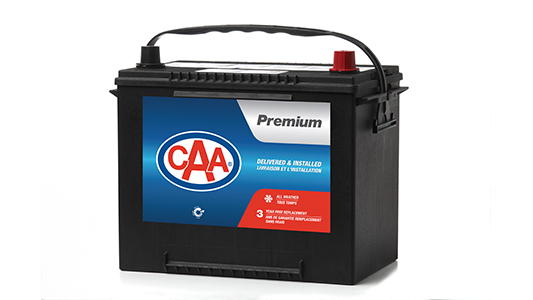 A CAA battery.