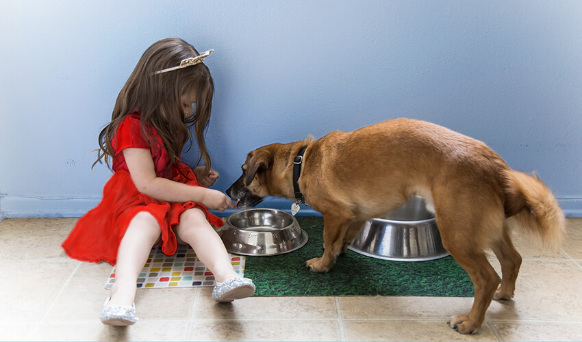 A girl sitting on a floor feeding her dog.