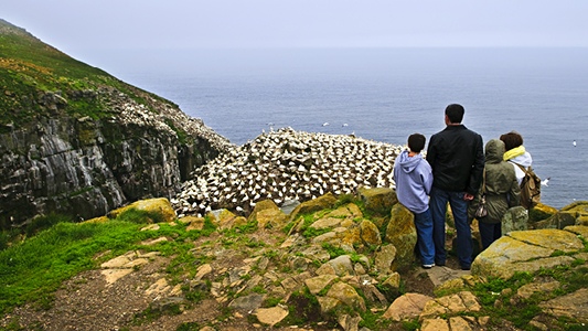 Family overlooking the ocean from a cliff.