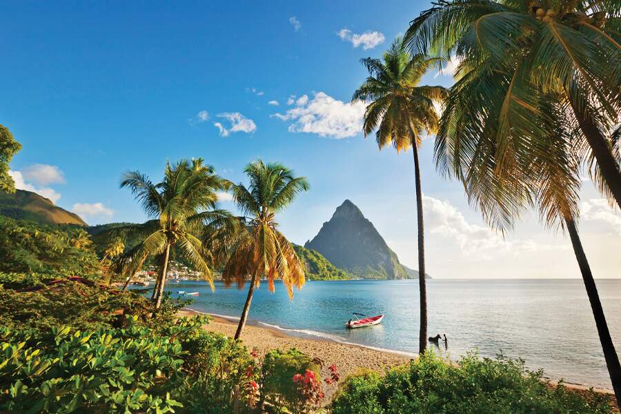 Photo showing tropical scene of sandy beach and tall palm trees in foreground, with blue ocean and mountain peak in background.