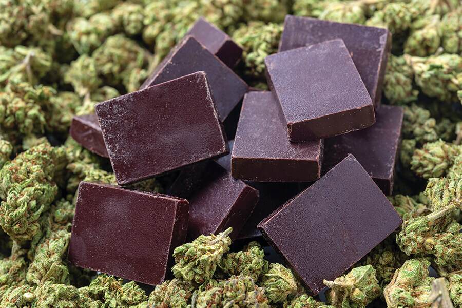 Photo shows chocolate brownie chunks on a bed of cannabis buds.
