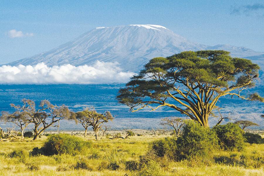 Photo showing a typical African forest and grass landscape, with towering mountain in the background.