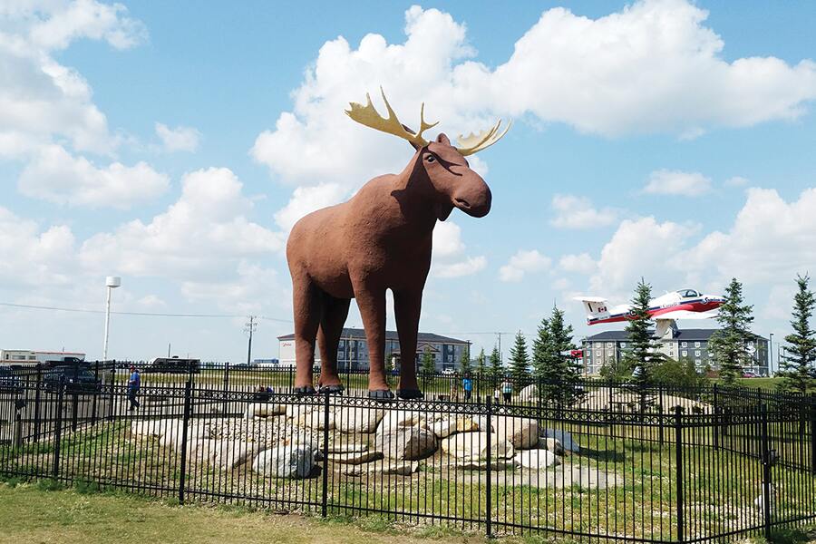 Photo shows a giant moose statue surrounded by a black metal fence.