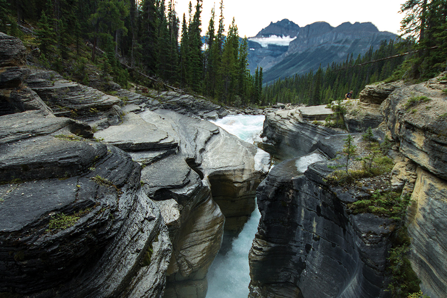 Image showing treed rocky gorge in forground with Rocky Mountains in background.