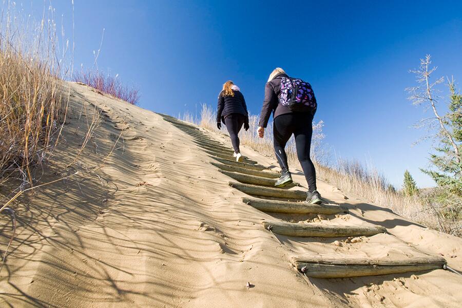 Image showing hikers climbing wood log stairs embedded into sand dune.