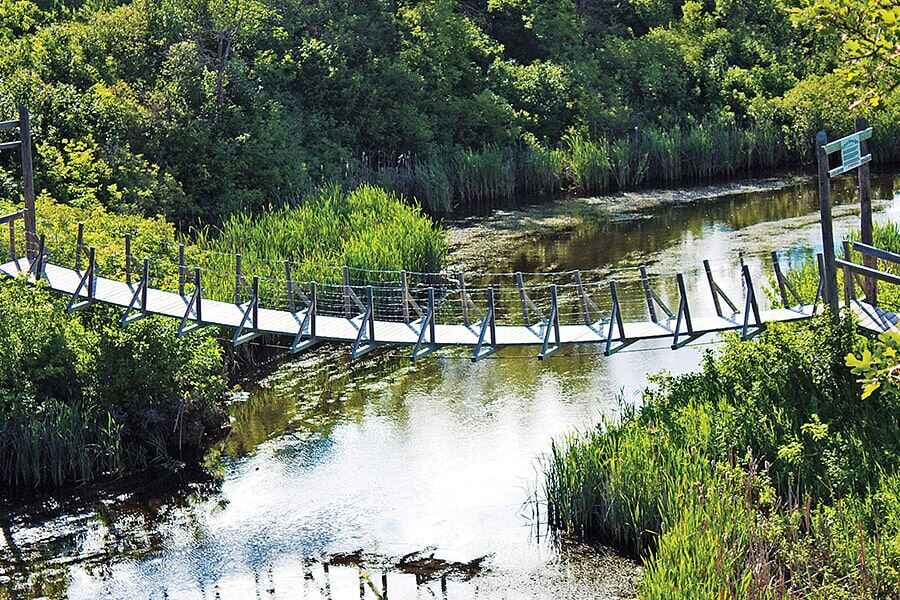 Image showing a swinging bridge spanning a medium-sized creek.