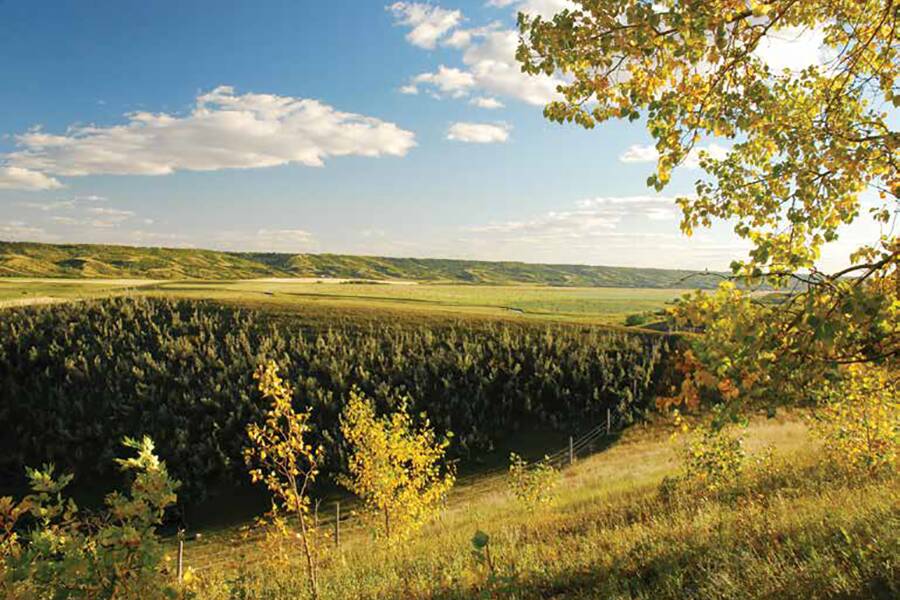 Fairy Hill in the Qu’Appelle Valley.