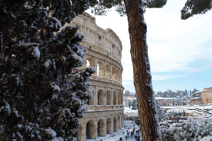 Image showing the Colosseum in Rome with snow on the ground and a pine tree in the foreground.
