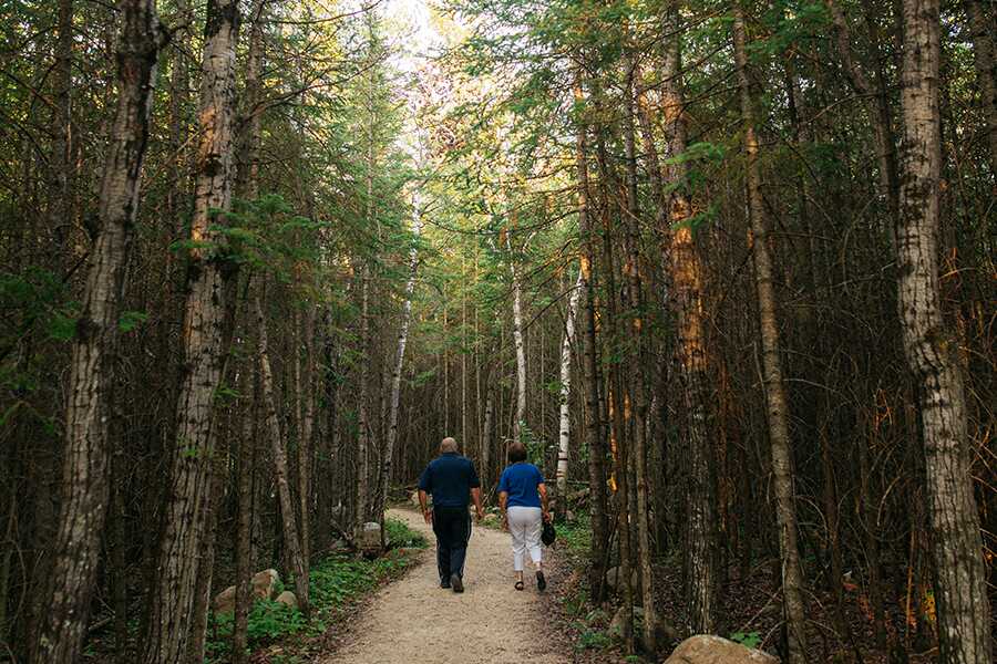 Image showing a couple walking down a path in a forest.
