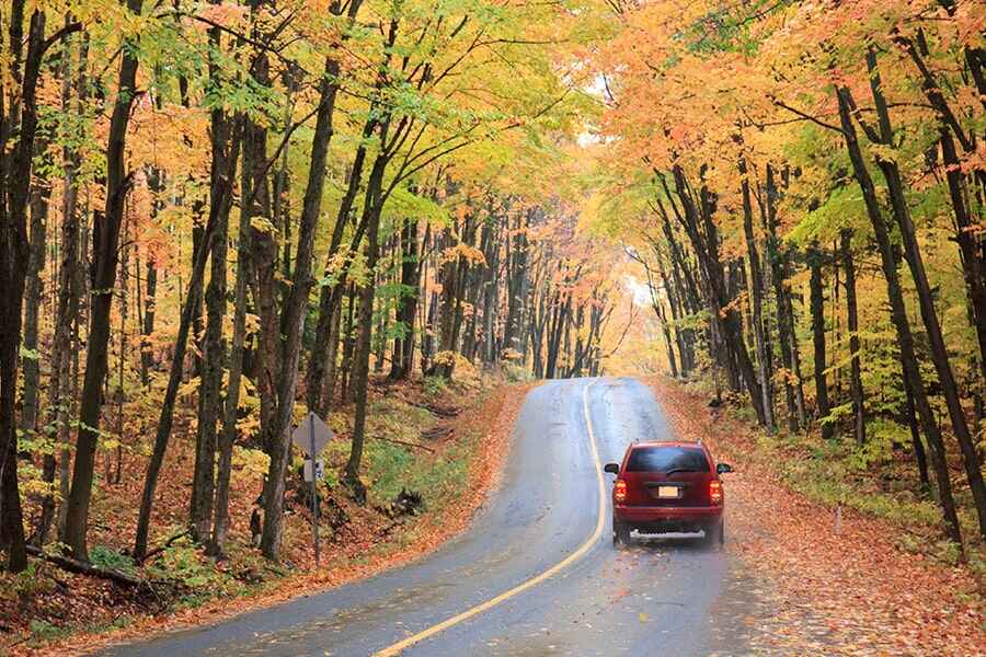 Image showing a acr driving down a paved road in fall colours.