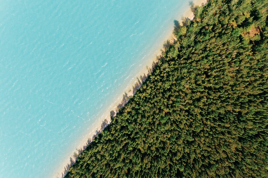 Image showing overhead view of a lake shoreline below and a forested area.