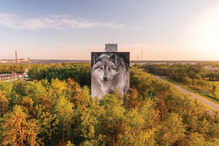 Image showing a fall lanscape with a building wall featuring a large scale nural of a timber wolf.
