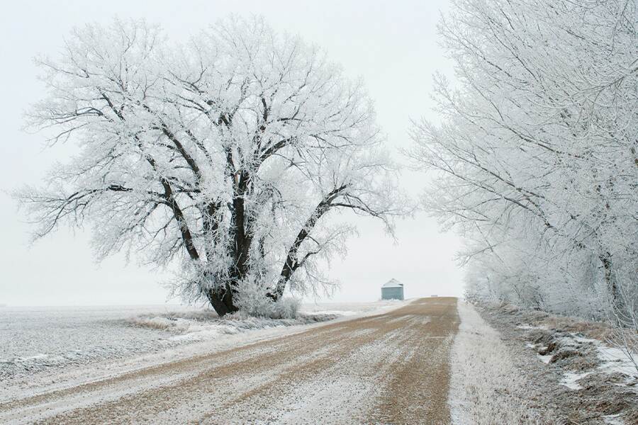 Image showing a wintery rural scene with a gravel road and a vehicle in the distance.