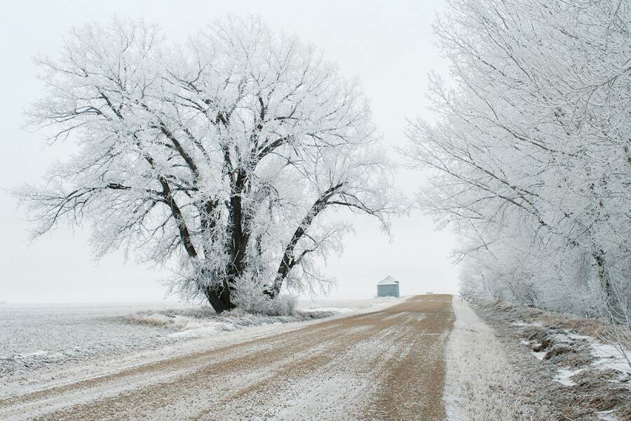 Image showing a wintery rural scene with a gravel road and a vehicle in the distance.