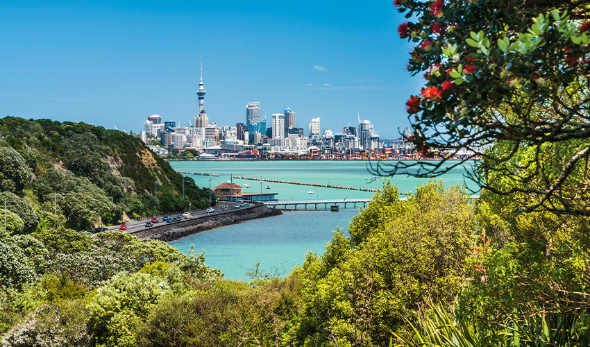 A Long Look at New Zealand