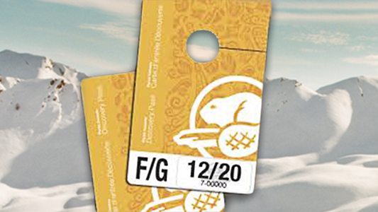 Image graphic featuring stylized light brown park passes against a background of snow covered mountains.