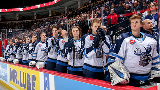 Manitoba Moose.