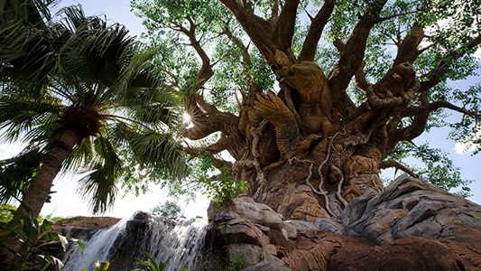 Image showing gnarled tree with waterfall in the background.