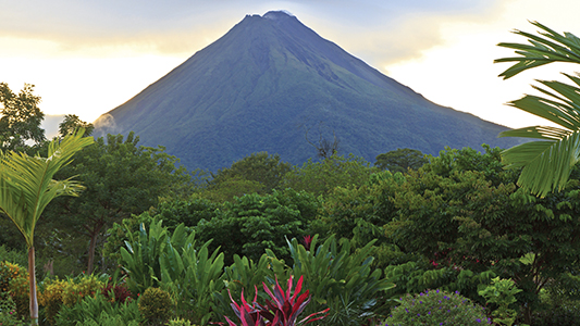 A tropical forest with a mountain in the background.