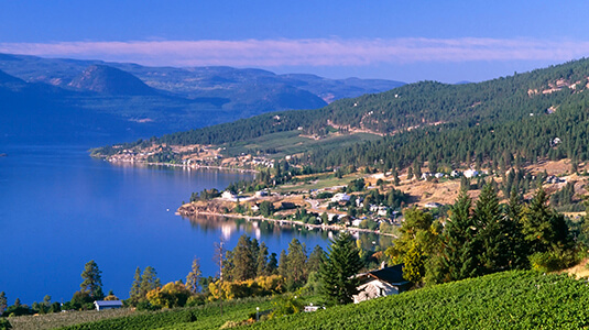 Winery vineyard overlooking Okanagan Lake located on the Naramata Bench situated in Naramata and Penticton, British Columbia, Canada.