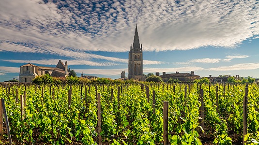 Taste of Bordeaux Loire Valley