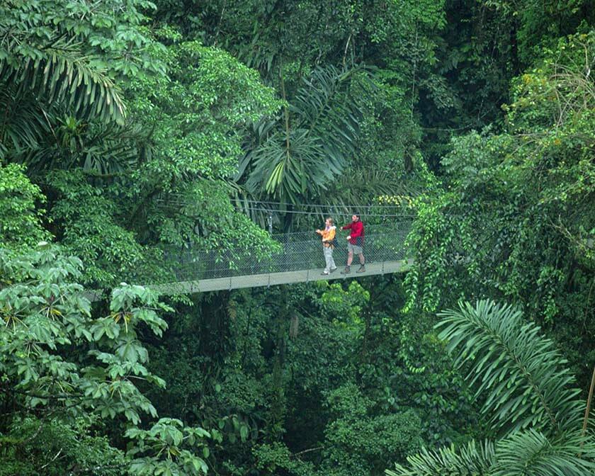 Suspended bridge in cloud forest, Costa Rica