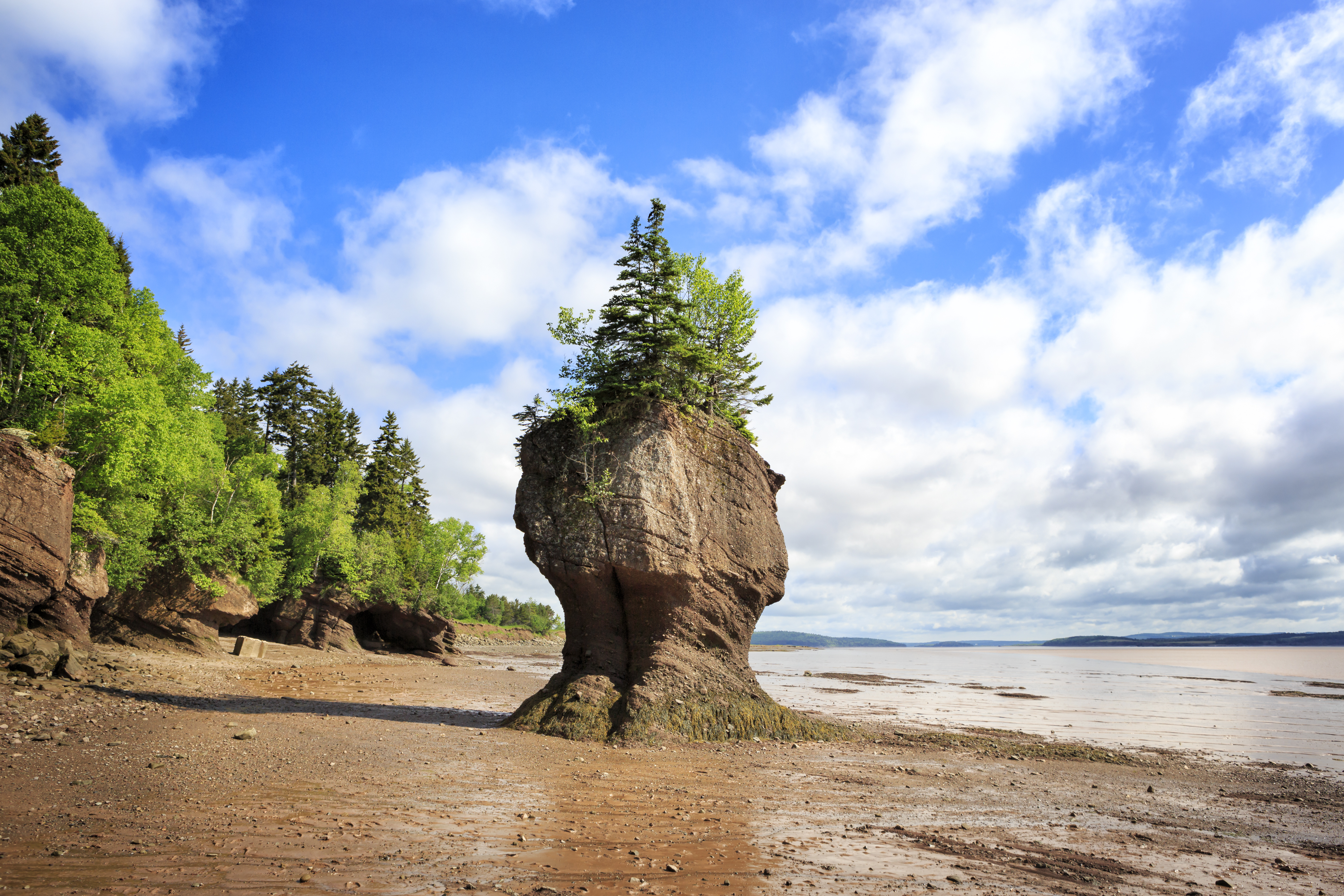 Hopewell Rocks