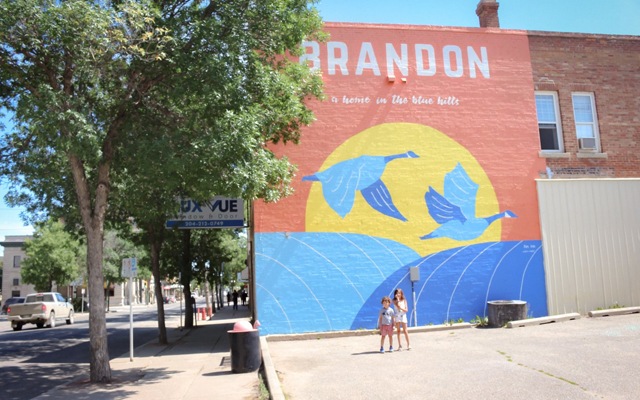 Image showing a large mural on a wall with stylized blue geese and the word Brandon on it.