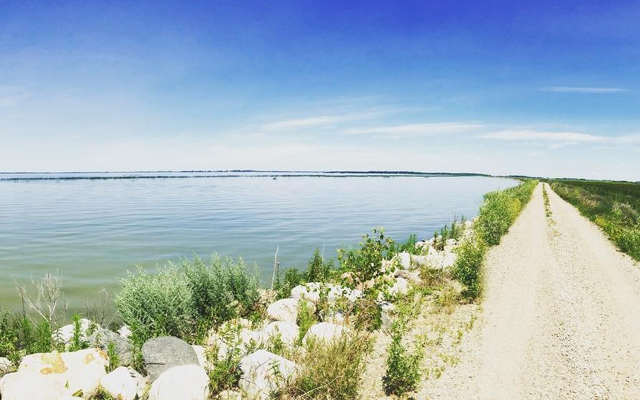 Image showing a sun-bleached gravel road running alongside a calm lake.