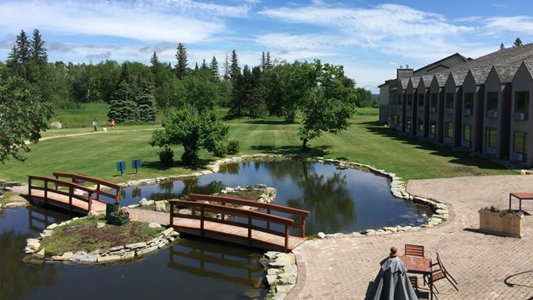 Image showing a small man made pond and a small bridge crossing over it.