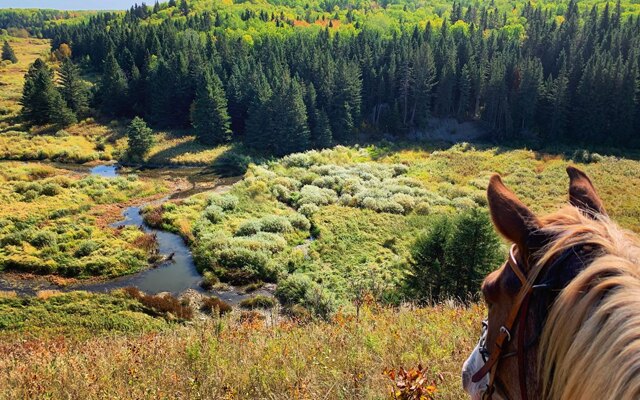 Image showing a small valley in the background and a horses head in the foreground.