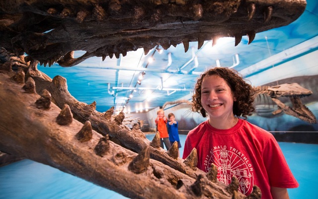 Image showing a youngster standing beside the open jaws of a dinosaur fossil.