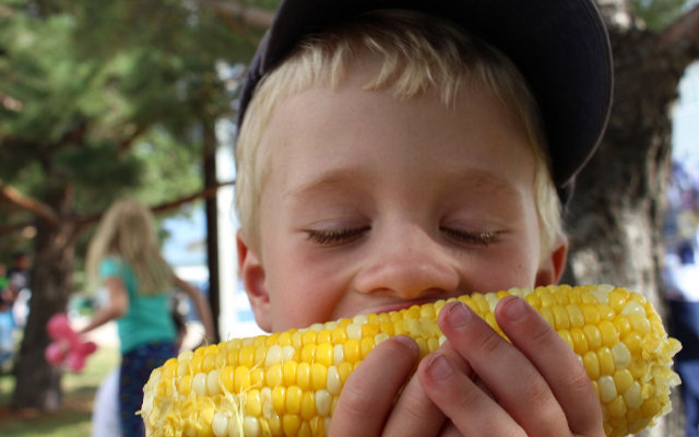 Image showing a young boy eating a corn cob and wearing a blue hat.