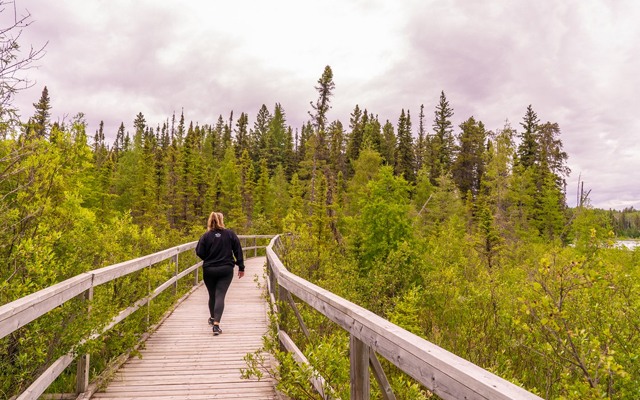 Image showing a person from behind walking on a wooden boardwalk toward a forested area in the distance.