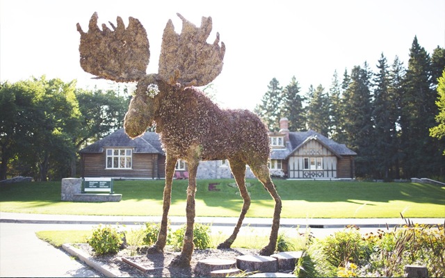 Image showing a large statue of a moose.