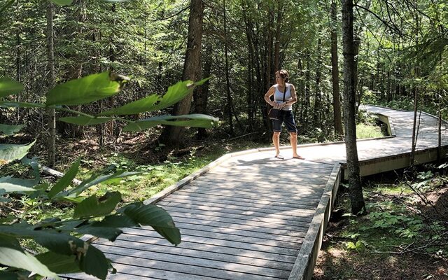 Image showing a man standing on a wooden boardwalk path in a forest.