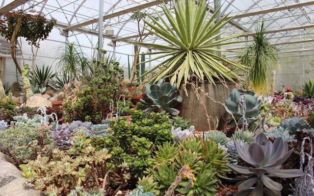 Image showing the interior of a plant nursery with a variety of exotic plants on display.