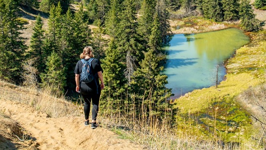 Image showing a woman standing on a hill and looking down into a forested valley.