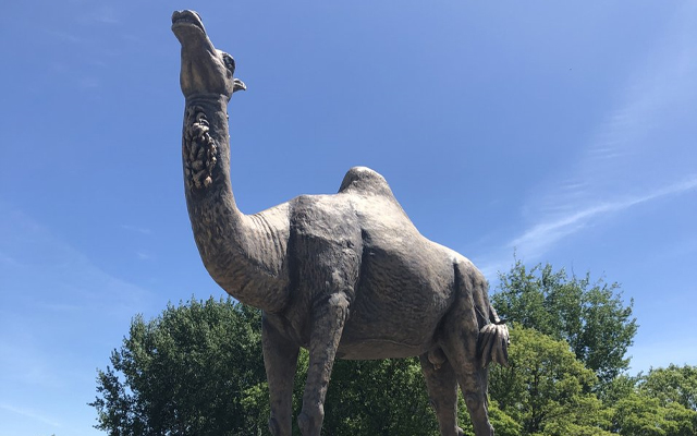 Image showing the statue of a giant camel.