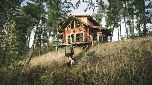 Image showing a log cabin perched on a rise in the woods with a hiker approaching from below.