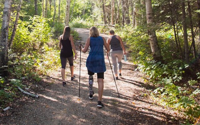 Image showing three people hiking in the woods with walking sticks.