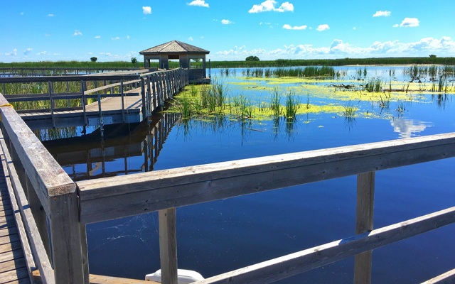 Image showing a marshy landscape covered with large wooden boardwalks.