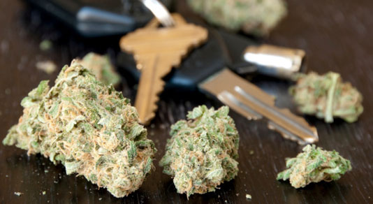 Marijuana lying on a table next to car keys.