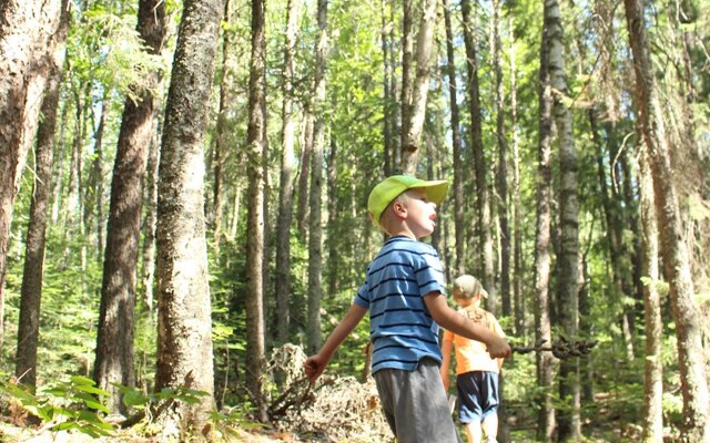 Image showing two children walking down a heavily forested path.