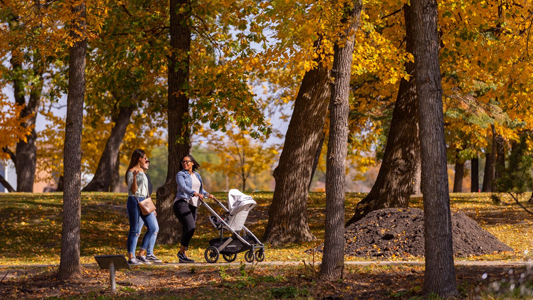 Image showing two woman walking through a wooded area pushing a baby carriage.