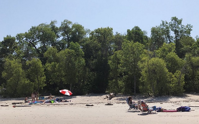 Image showing a beach with sunbathers and a line of trees in the background.