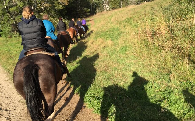 Image showing a trail of riders on horses heading down a path in the woods.